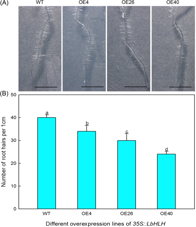 figure5