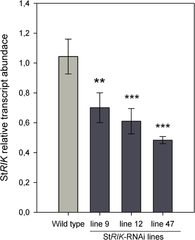 figure2