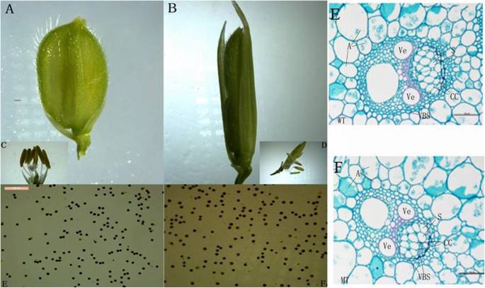 figure4