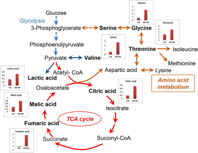 figure10