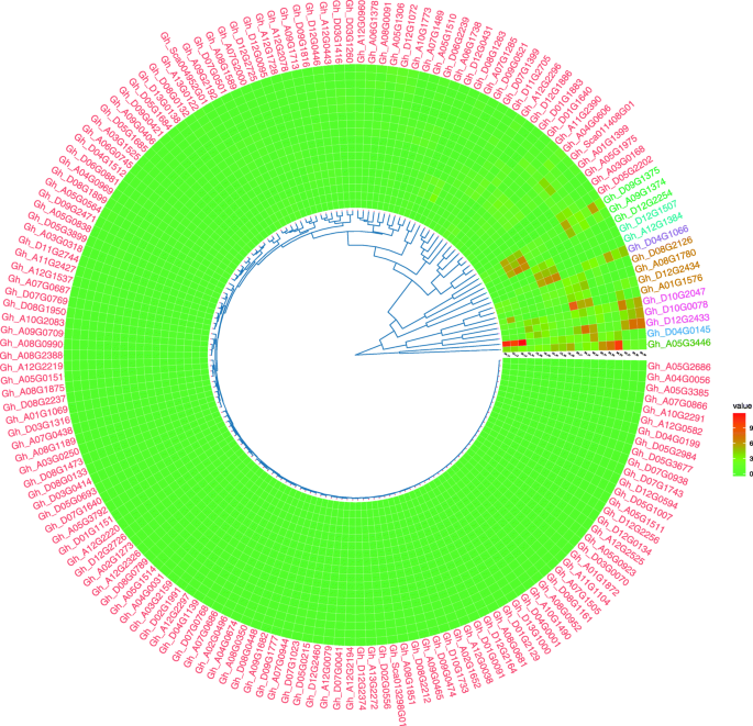 Genome Wide Identification And Function Analysis Of Hmad Gene Family In Cotton Gossypium Spp Bmc Plant Biology Full Text Genome Wide Identification And Function Analysis Of Hmad Gene Family In Cotton Gossypium Spp Bmc Plant Biology Full Text