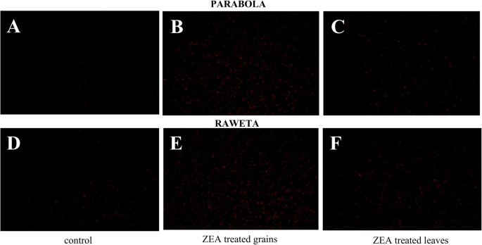 figure2