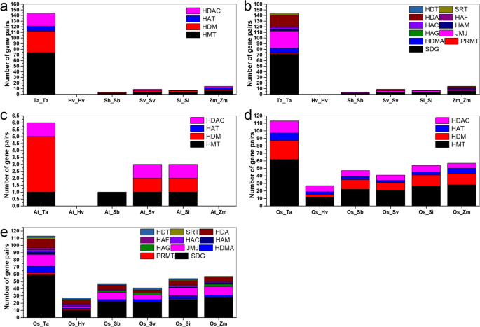 Genome-wide identification of Gramineae histone modification genes and  their potential roles in regulating wheat and maize growth and stress  responses | BMC Plant Biology | Full Text