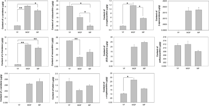 Analyses of key gene networks controlling carotenoid metabolism in Xiangfen  1 banana | BMC Plant Biology | Full Text