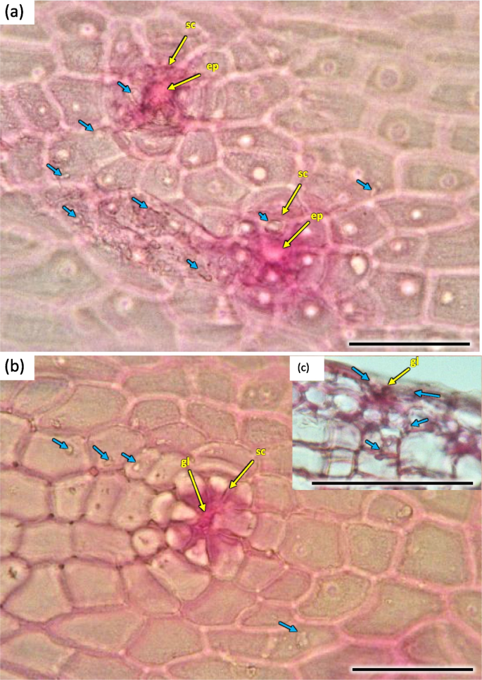 figure 23