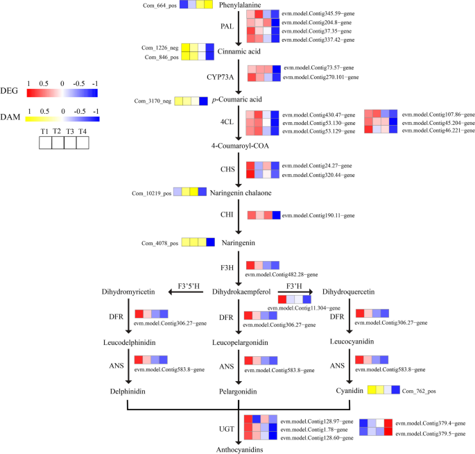 figure 14