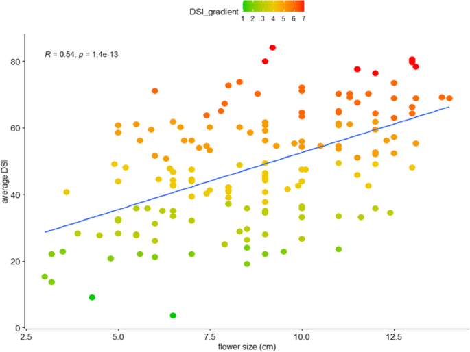 PeCIN8 expression correlates with flower size and resistance to  