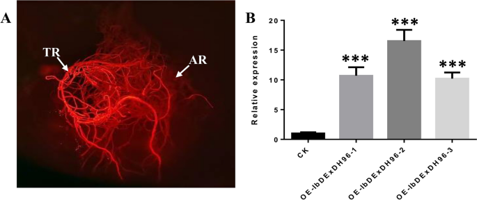 figure 15