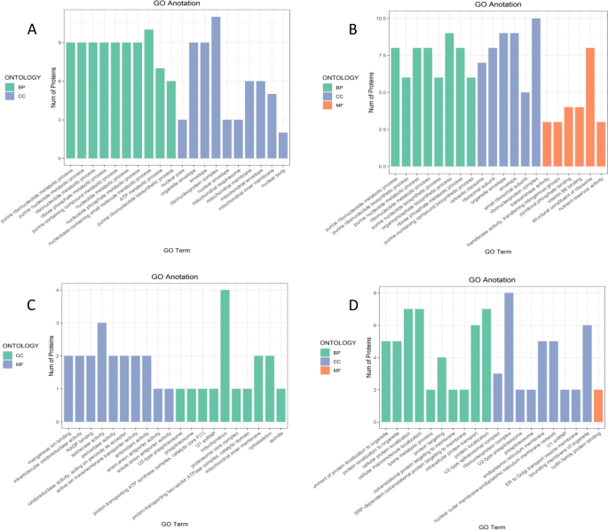 plant biology research figure 13