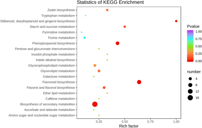 plant biology research figure 19