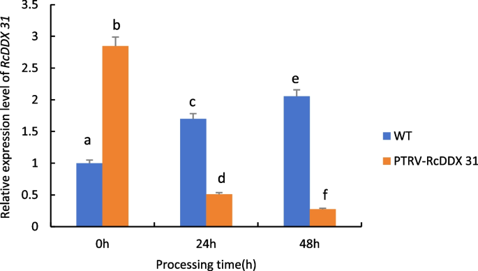 plant biology research figure 26