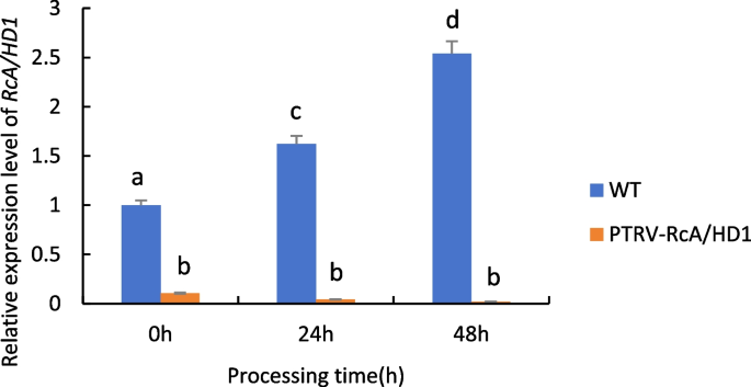 plant biology research figure 27