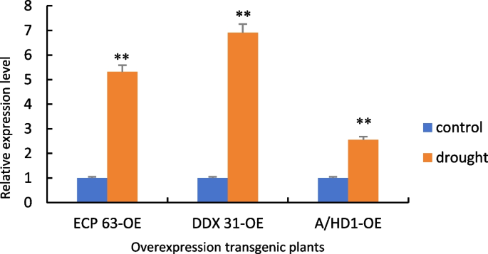 plant biology research figure 31