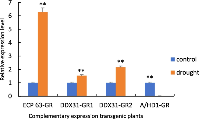 plant biology research figure 32