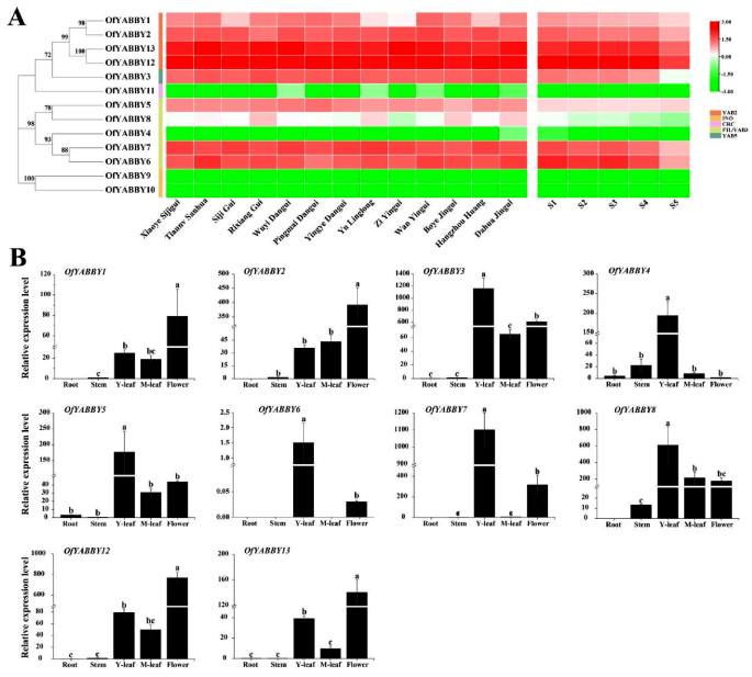 thesis transcription factor figure 2