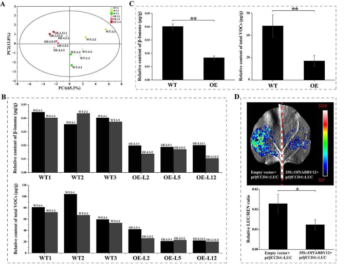 thesis transcription factor figure 6