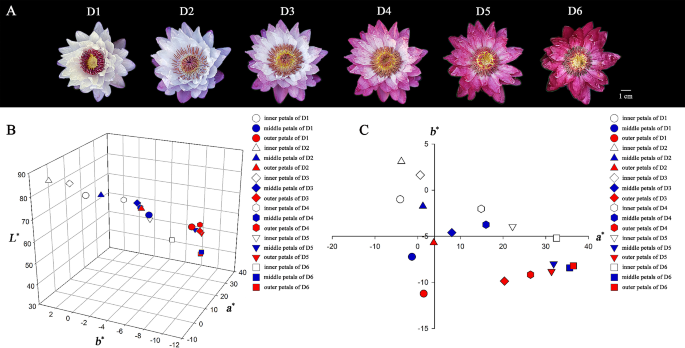 importance of data analysis in research methodology figure 1