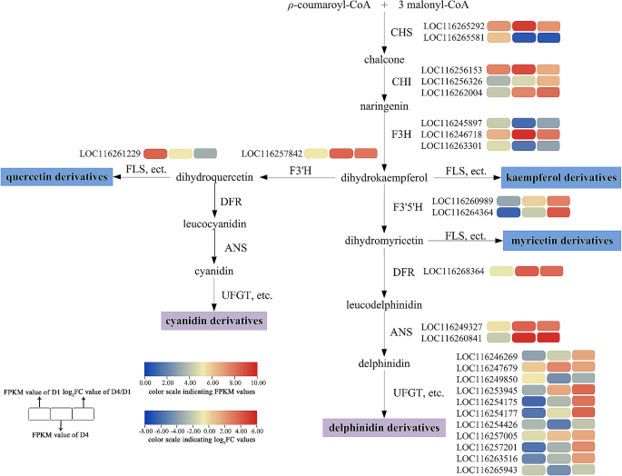 importance of data analysis in research methodology figure 4