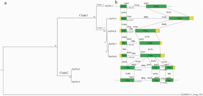 analysis of data collected by other researchers figure 2