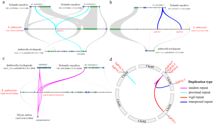 analysis of data collected by other researchers figure 3