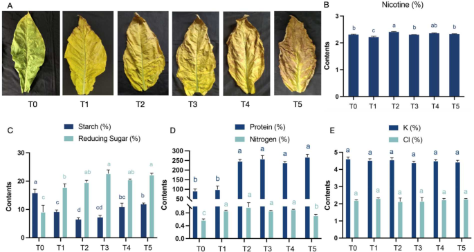 Multiomics provides insights into dynamic changes of aromatic profile  during flue-curing process in tobacco (Nicotiana tabacum L.) leaves | BMC  Plant Biology