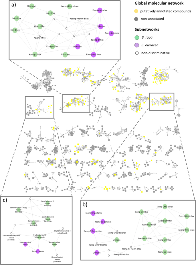 dihexs Metabolomic analysis of a core collection of Brassica rapa and Brassica  oleracea unveils unexpected chemical diversity with potential applications  in chemical ecology and breeding | BMC Plant Biology
