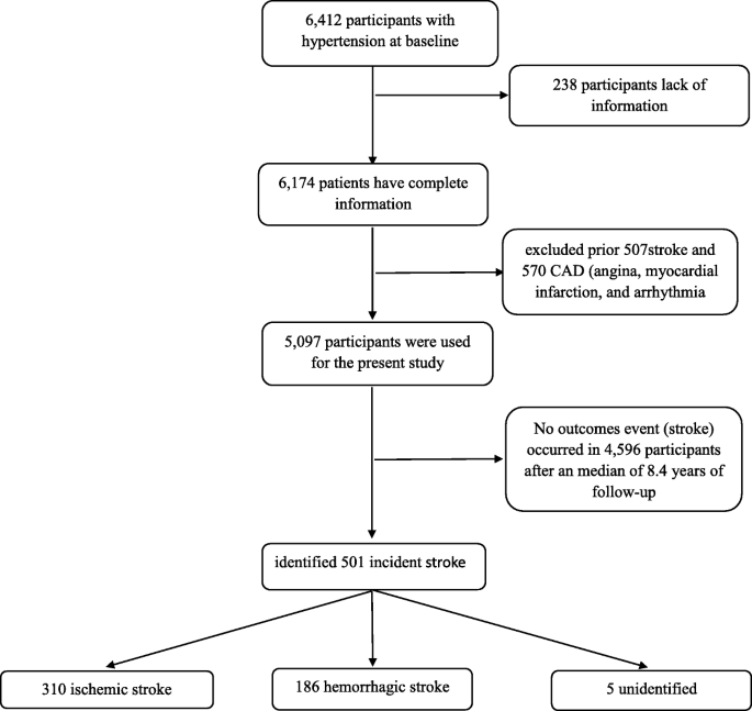 Controlling Hypertension And Hypotension Immediately Post-stroke (CHHIPS):  A Randomised, Placebo-controlled, Double-blind Pilot Trial The Lancet  Neurology