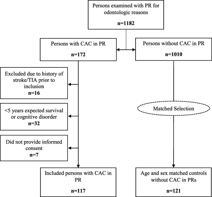 Bilateral vessel-outlining carotid artery calcifications in panoramic  radiographs: an independent risk marker for vascular events | BMC  Cardiovascular Disorders | Full Text