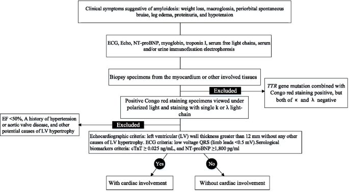 GLOBAL LONGITUDINAL STRAIN IS PROGNOSTIC IN LIGHT CHAIN AND TRANSTHYRETIN  CARDIAC AMYLOIDOSIS WHILE THE APICAL SPARING RATIO OF LONGITUDINAL STRAIN  IS NOT