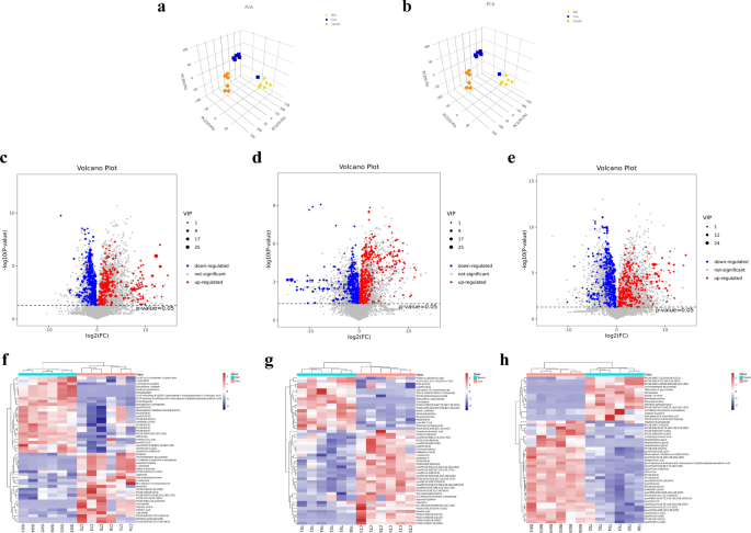 Assessment of endothelial damage and cardiac injury in a mouse