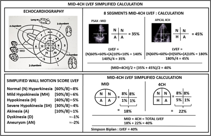 M-Mode LV function study-showing Global hypokinesia, Severe LV