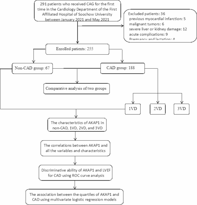 A-kinase anchoring protein 1: an independent predictor of coronary ...