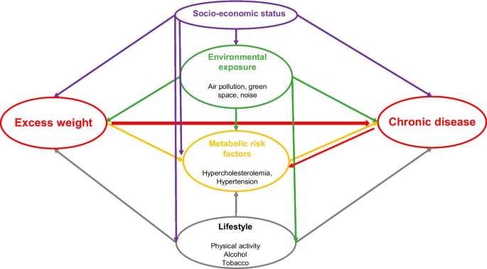 causal research figure 2