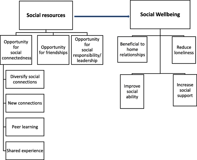 A mixed methods case study exploring the impact of membership of a multi-activity, multicentre community on social wellbeing older adults | BMC Geriatrics | Full Text