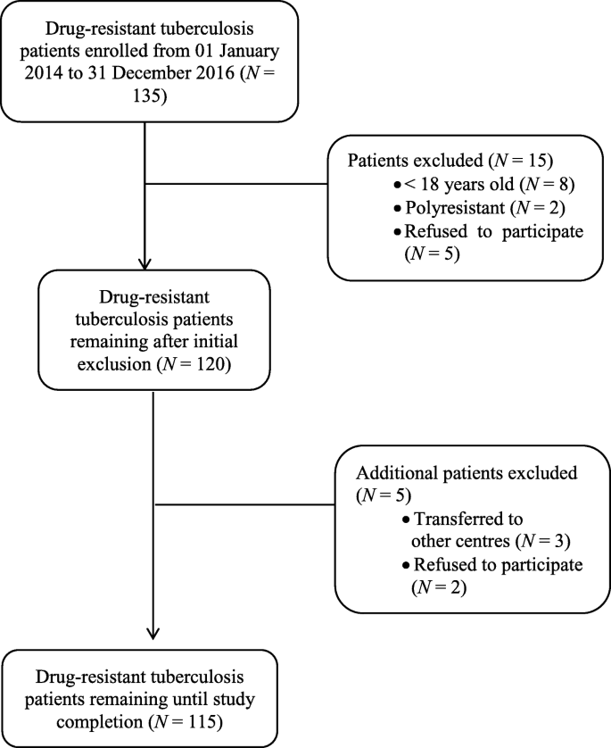 Evaluation of risk factors associated with drug-resistant tuberculosis in  Yemen: data from centres with high drug resistance | BMC Infectious  Diseases | Full Text