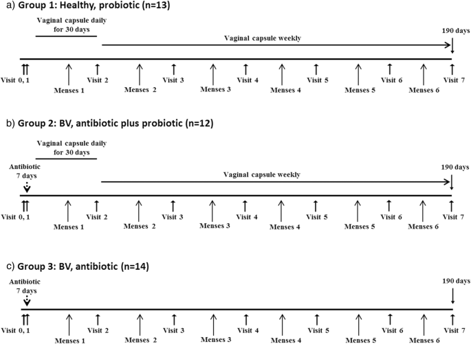 An Exploratory Pilot Study Evaluating The Supplementation Of Standard Antibiotic Therapy With Probiotic Lactobacilli In South African Women With Bacterial Vaginosis Bmc Infectious Diseases Full Text