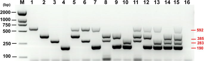 Xm Pcr Control Program Xm Pcr Control Program