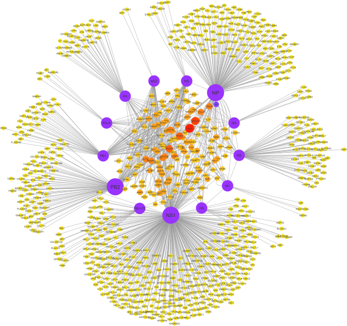A systems biology-driven approach to construct a comprehensive protein  interaction network of influenza A virus with its host | BMC Infectious  Diseases | Full Text