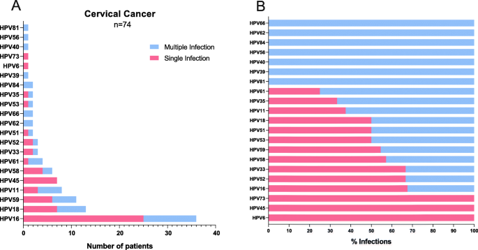 hpv high risk cancer statistics)