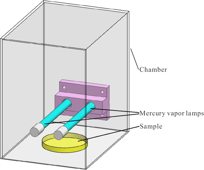 The efficacy of vacuum-ultraviolet light disinfection of some common  environmental pathogens | BMC Infectious Diseases | Full Text