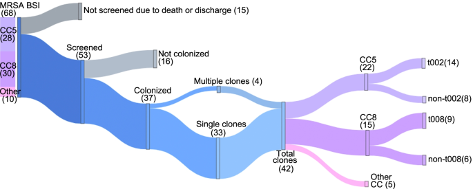 Everybody Nose Molecular And Clinical Characteristics Of Nasal Colonization During Active Methicillin Resistant Staphylococcus Aureus Bloodstream Infection Bmc Infectious Diseases Full Text