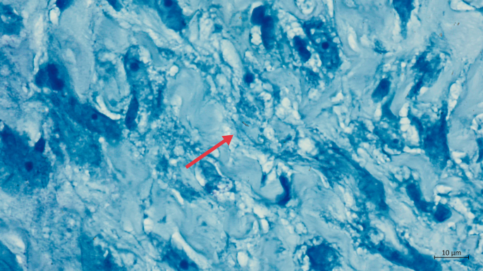 search terms for literature review figure 5