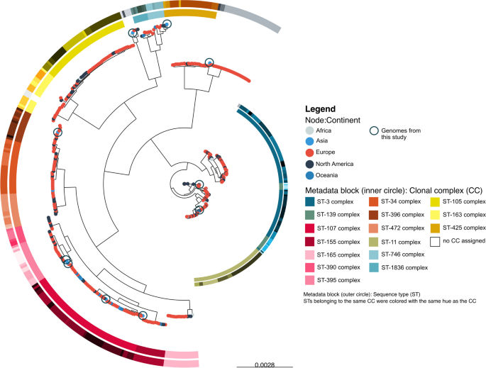 Whole-genome sequencing of non-typeable Haemophilus influenzae isolated ...
