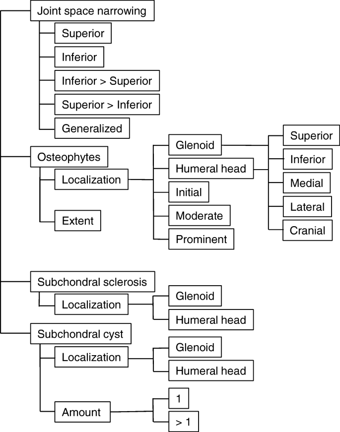 Structured reporting of x-rays for atraumatic shoulder pain