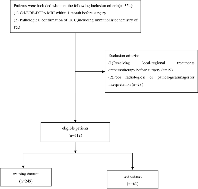 Deep learning-based MRI model for predicting P53-mutated hepatocellular ...