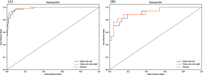 Deep learning-based MRI model for predicting P53-mutated hepatocellular ...