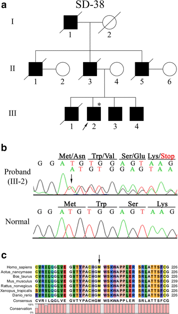 In Autosomal Dominant Inheritance Jsp Lang