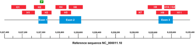 Rapid detection of pathological mutations and deletions of the haemoglobin  beta gene (HBB) by High Resolution Melting (HRM) analysis and Gene Ratio  Analysis Copy Enumeration PCR (GRACE-PCR) | BMC Medical Genetics