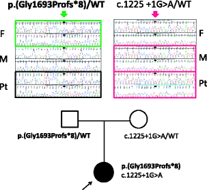 figure c