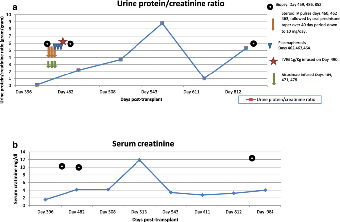 Complete biopsy-proven resolution of deposits in recurrent proliferative  glomerulonephritis with monoclonal IgG deposits (PGNMIGD) following  rituximab treatment in renal allograft | BMC Nephrology | Full Text